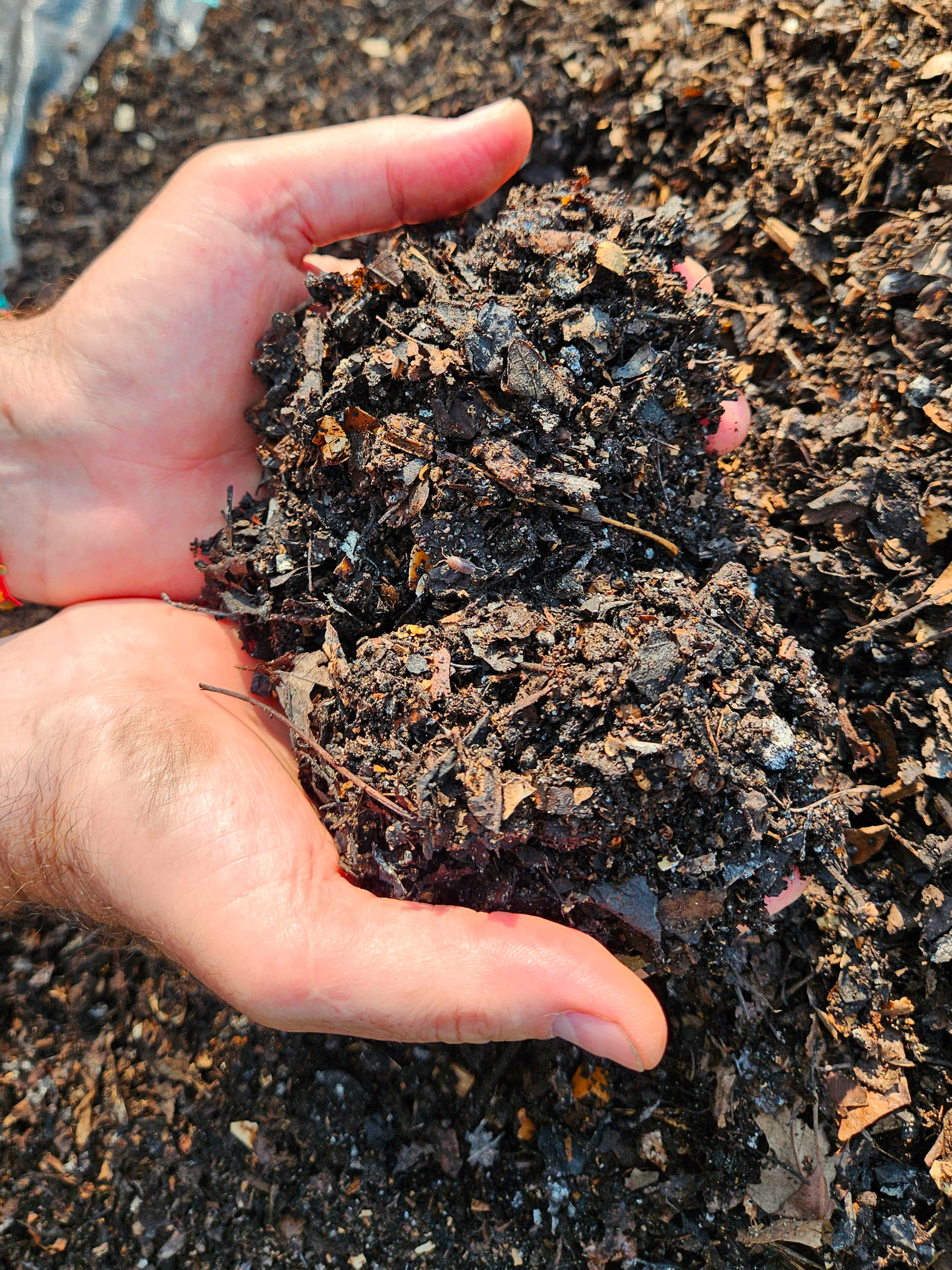 compost closeup